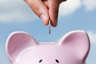 Fares, Taxes, and Fees
